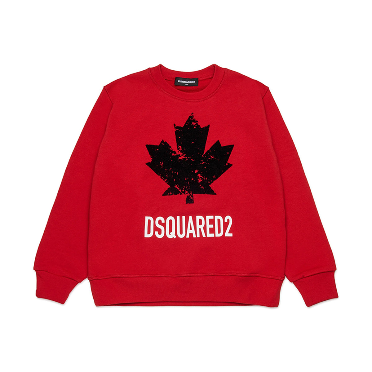 DQ3005 D00ZF - Felpe - Dsquared2