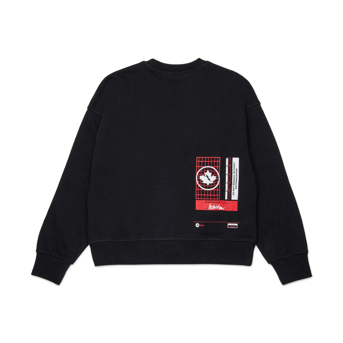 DQ3006 D0ACC - Felpe - Dsquared2