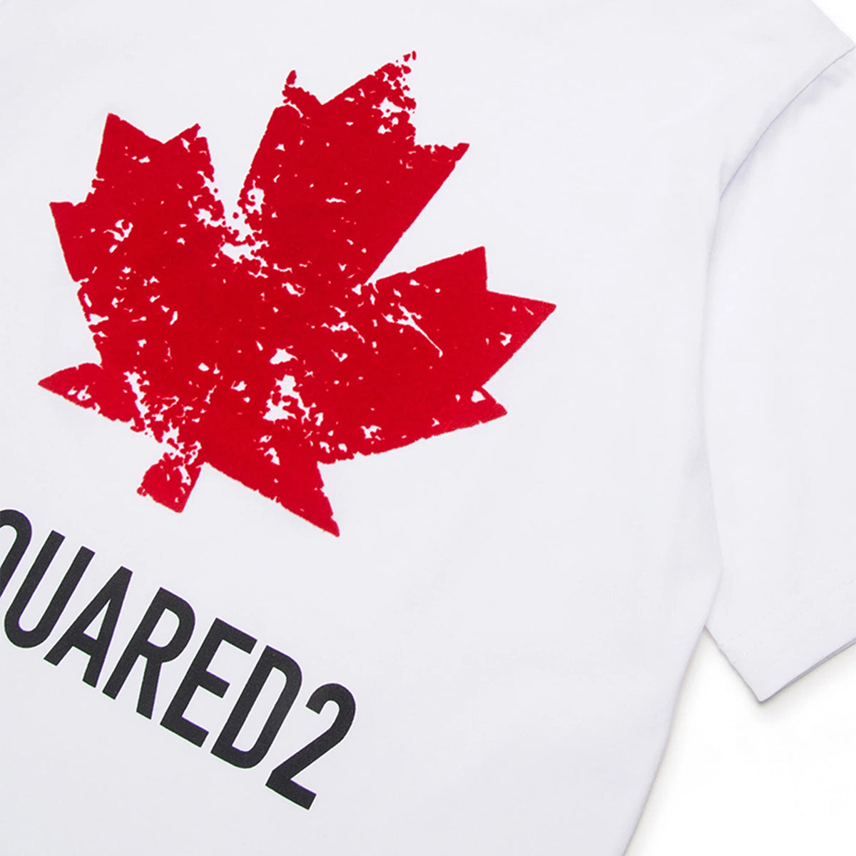 DQ2982 D00XM - Shirt - Dsquared2