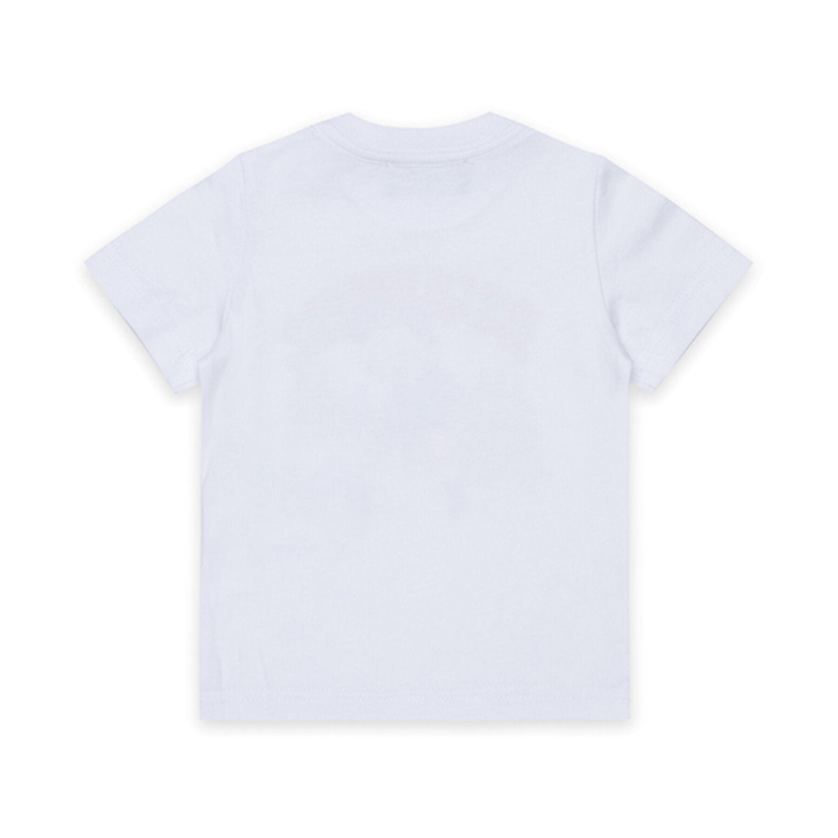 DQ3485 D0AJ1 - Shirt - Dsquared2