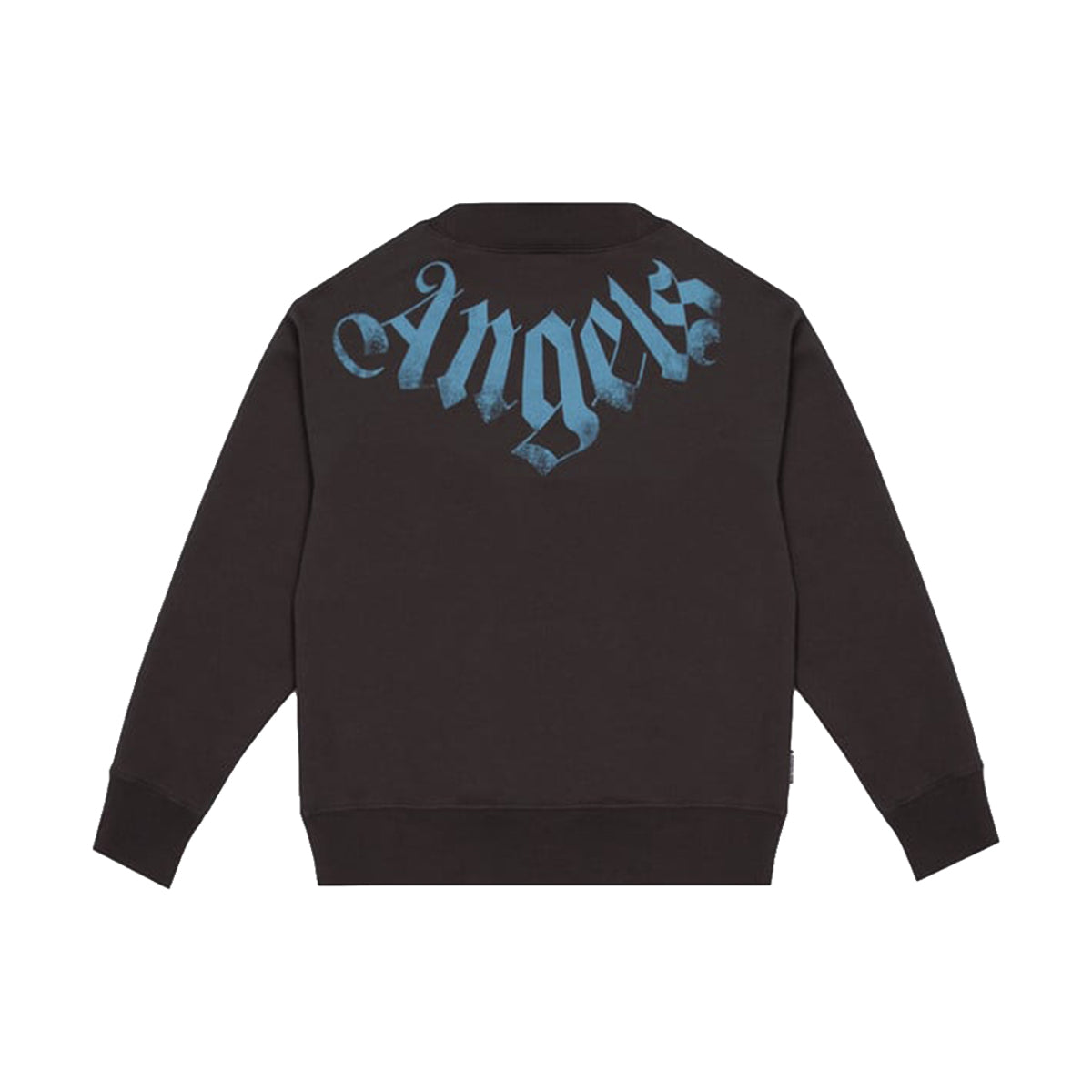 F6PAJBSW058 - Felpe - Palm Angels