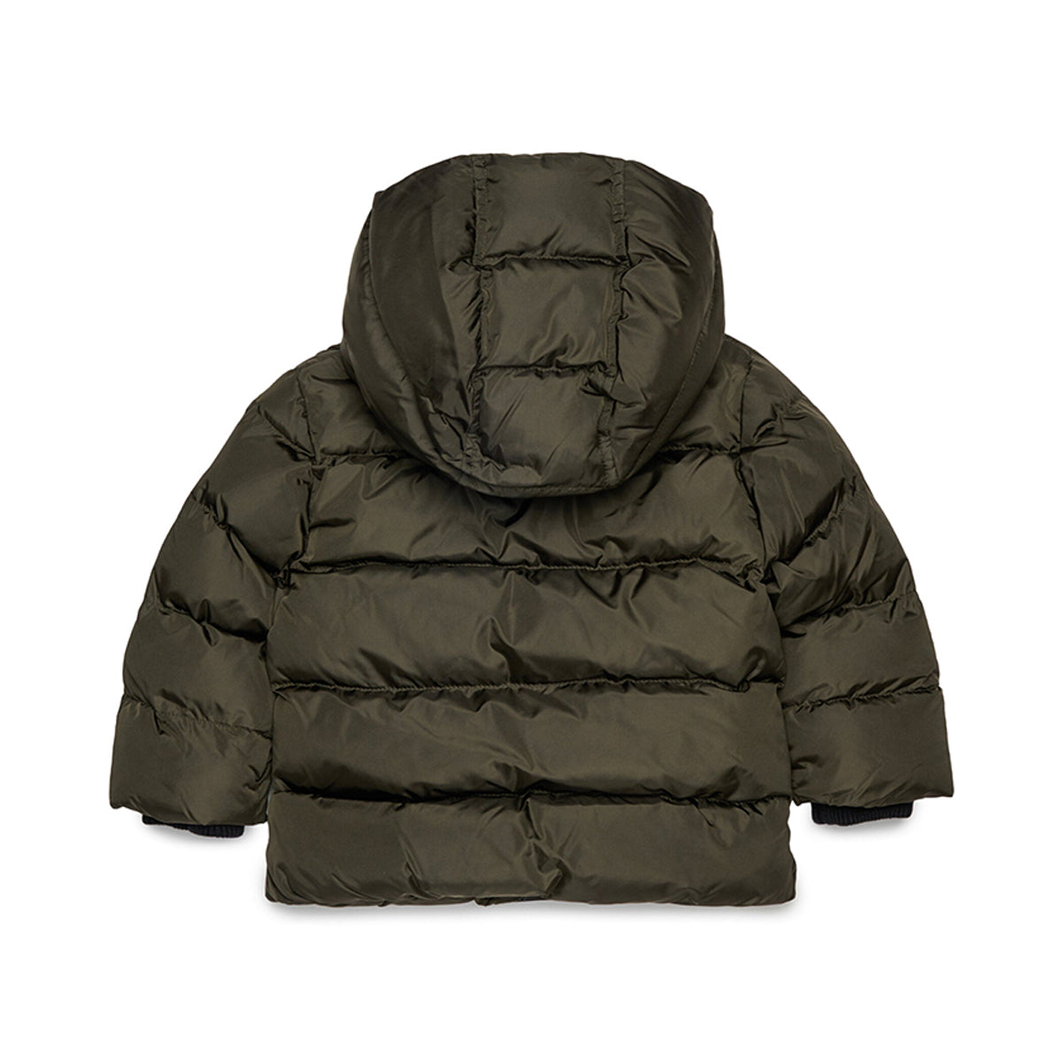 DQ3084 D00BN - Giubbotti - Dsquared2